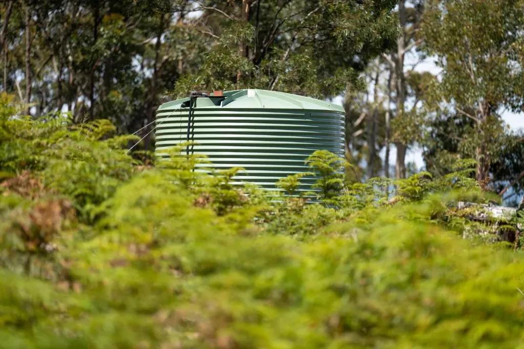 Jak wykorzystywać wodę deszczową